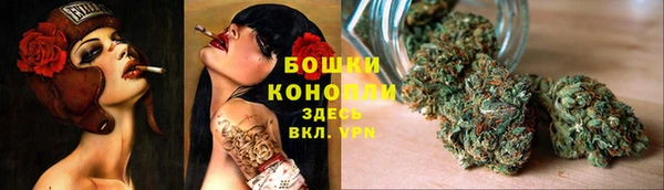 spice Белокуриха
