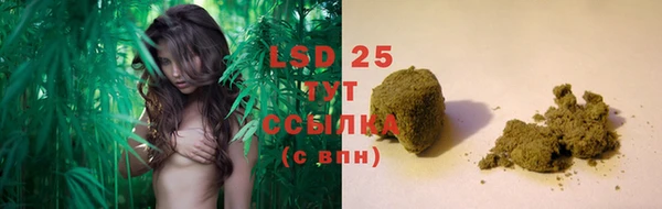 spice Белокуриха