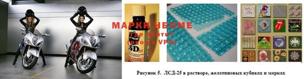 сатива Белоозёрский