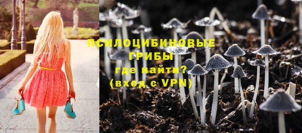 spice Белокуриха