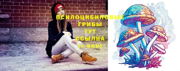 spice Белокуриха
