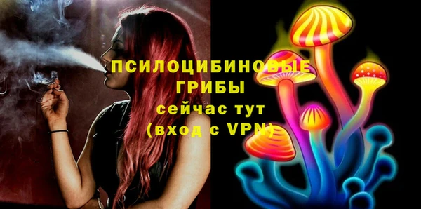spice Белокуриха