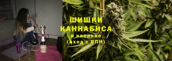 сатива Белоозёрский